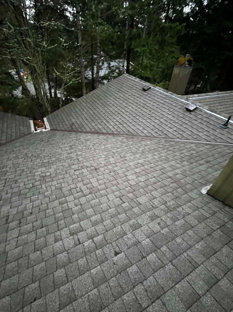 Roof cleaning, moss removal, Before and after
