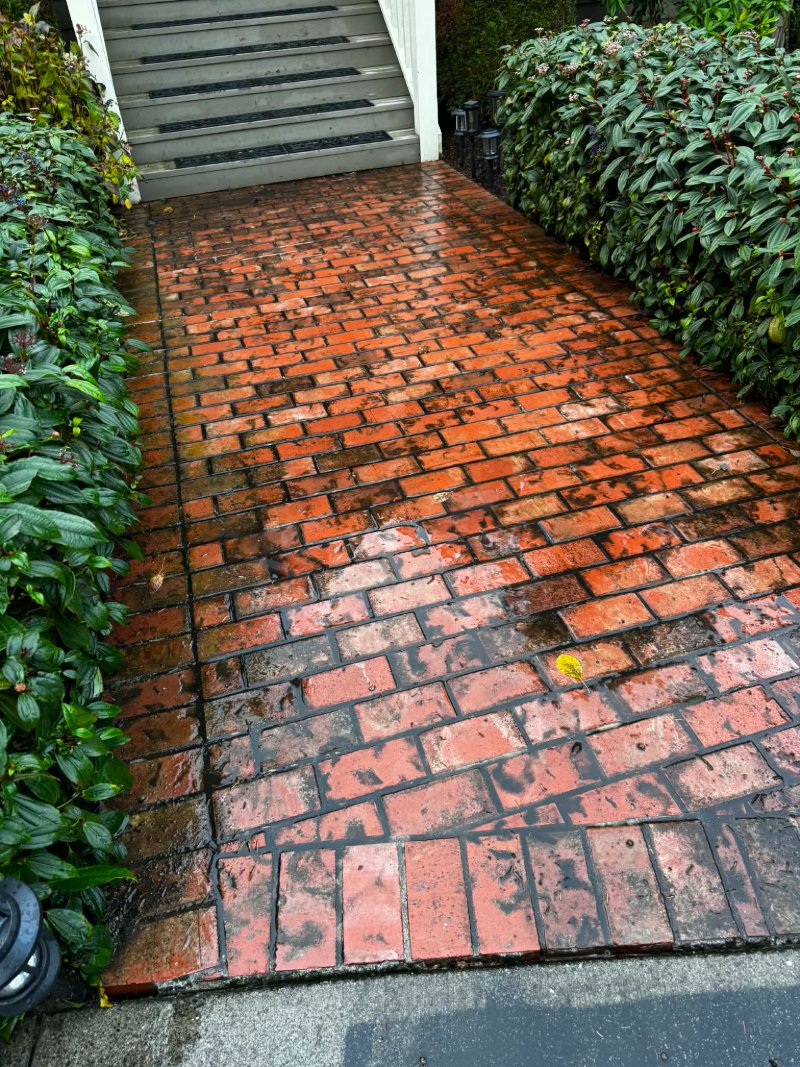 Pressure Washing Before and After