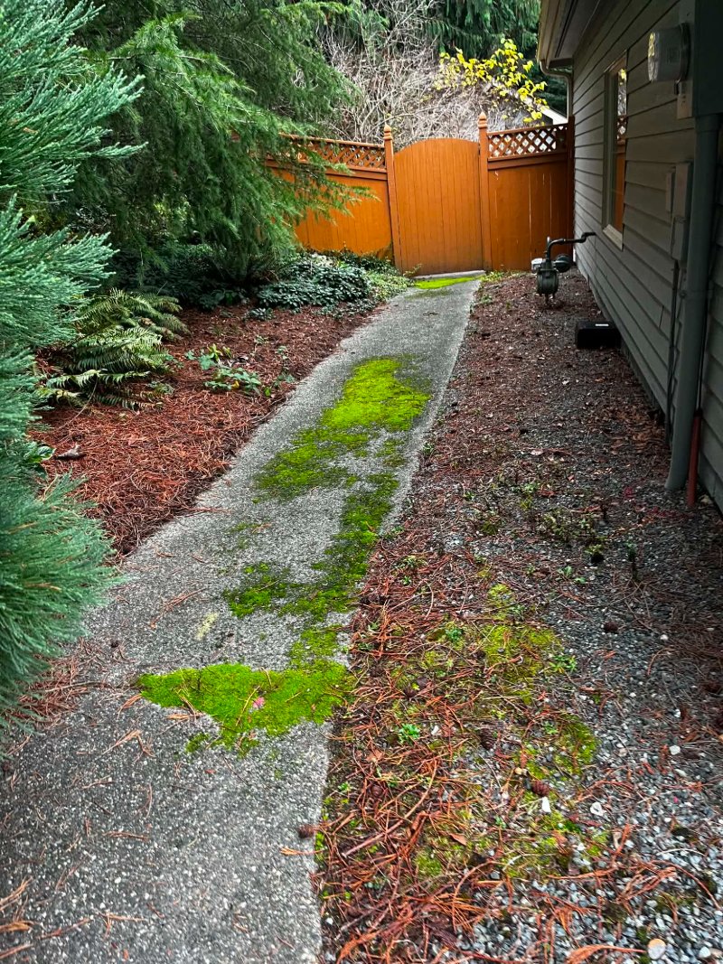 Pressure Washing Before and After