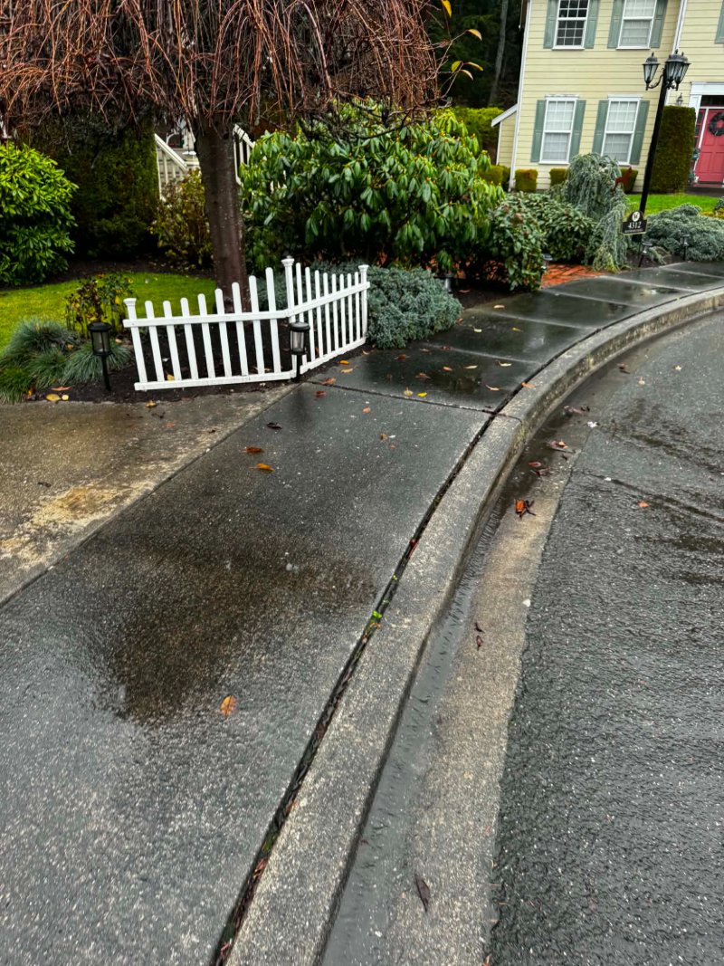 Pressure Washing Before and After