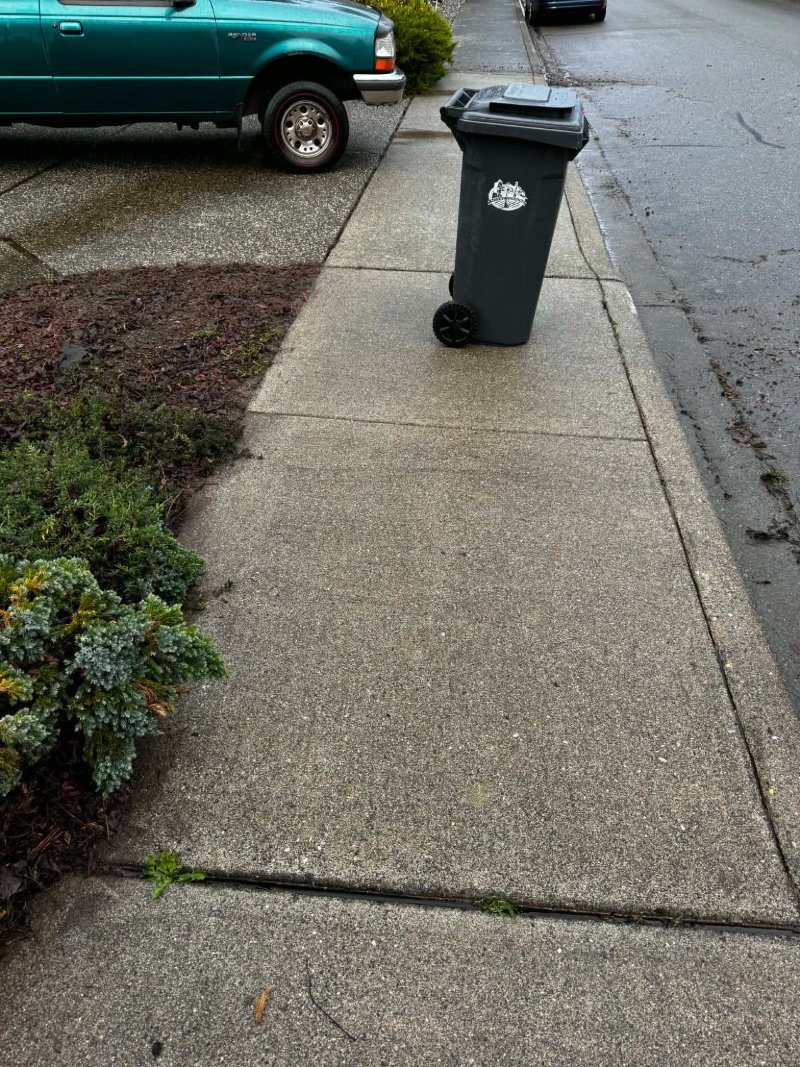 Pressure Washing Before and After