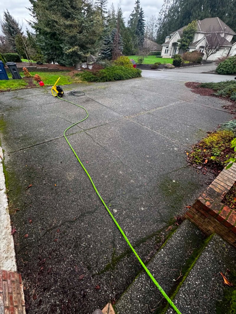 Pressure Washing Before and After