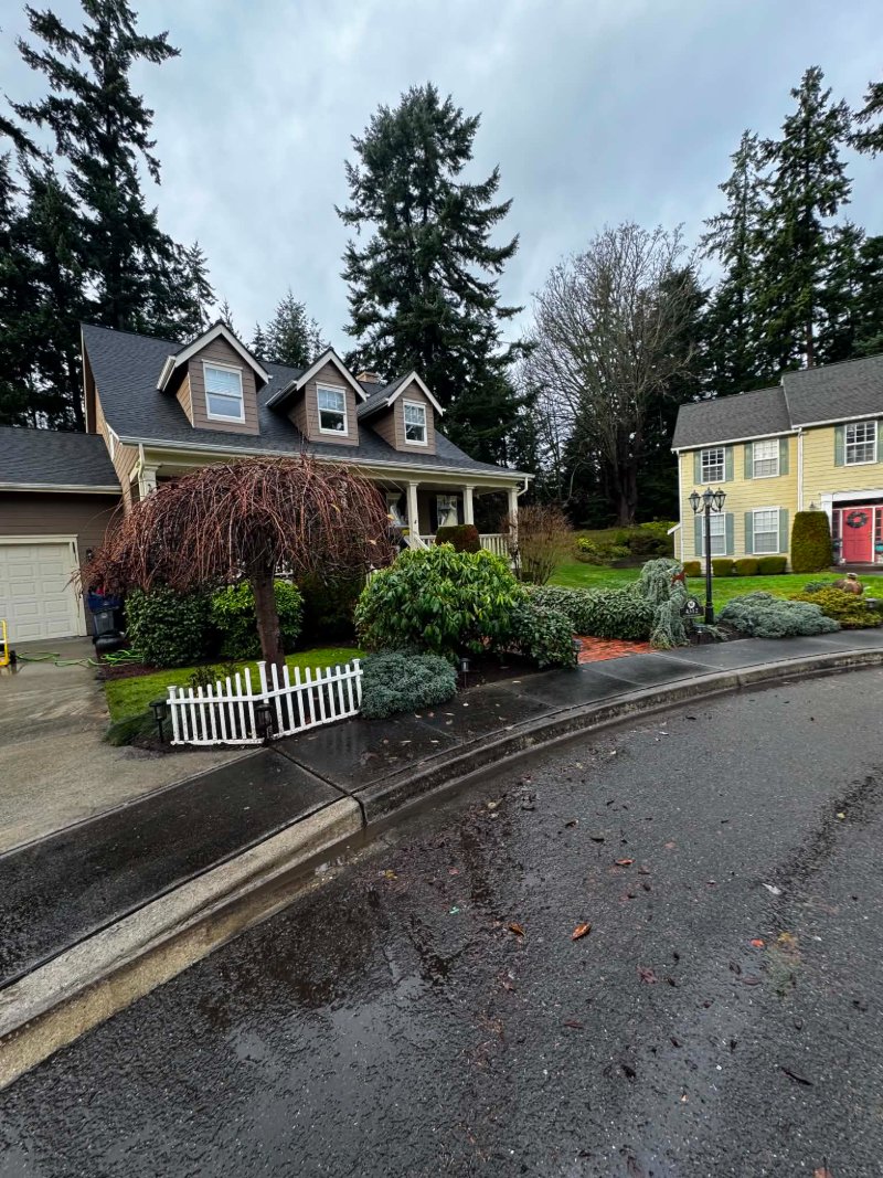 Pressure Washing Before and After