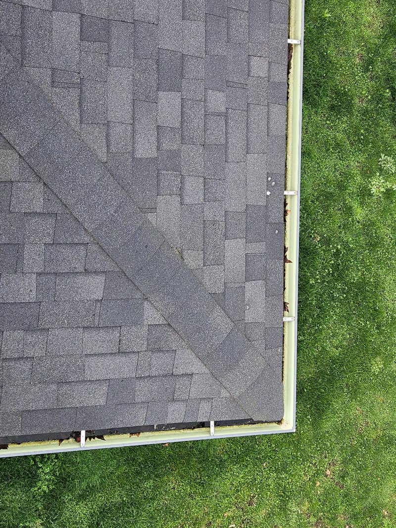 Gutter Cleaning Before