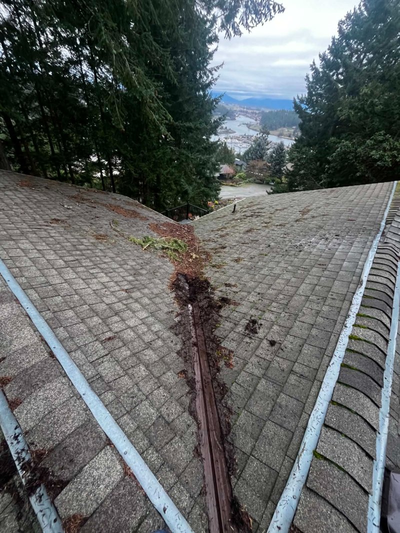 Roof cleaning, moss removal, Before and after