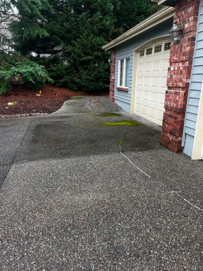 Pressure Washing Before and After