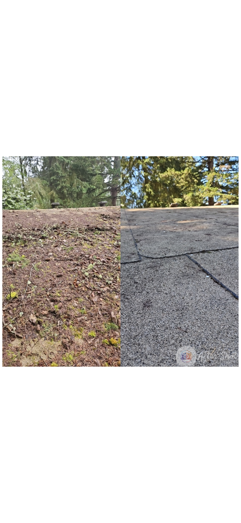 Roof cleaning, moss removal, Before and after