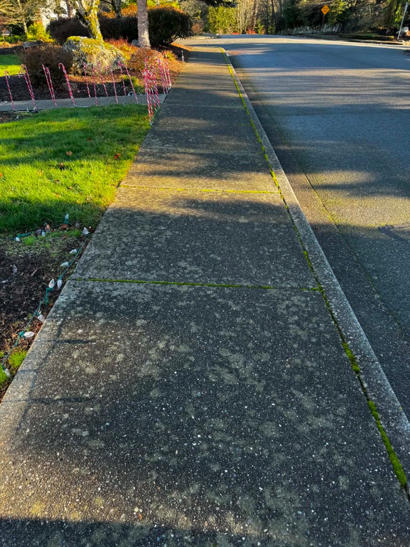 Pressure Washing Before and After