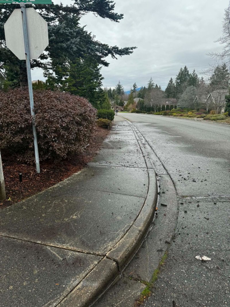 Pressure Washing Before and After