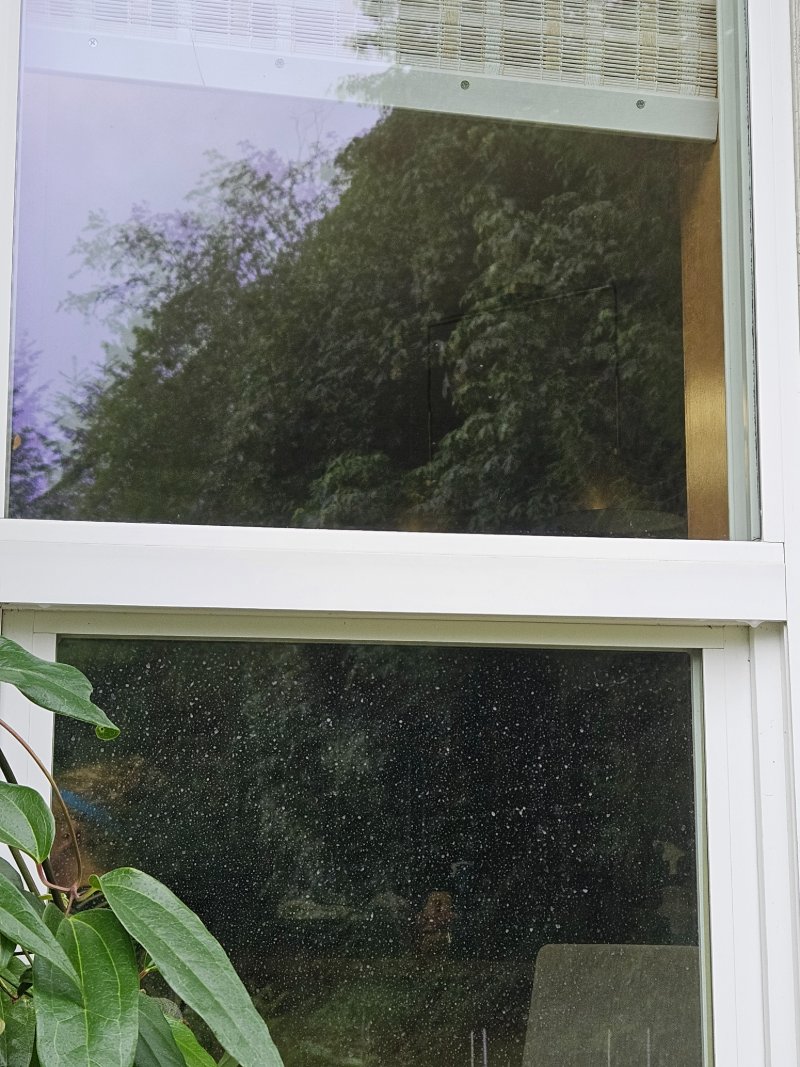 Spot Removal Window Cleaning