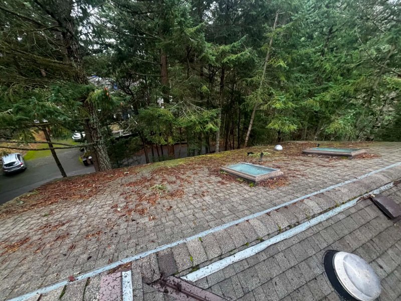 Roof cleaning, moss removal, Before and after