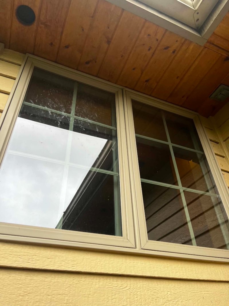 Window Cleaning