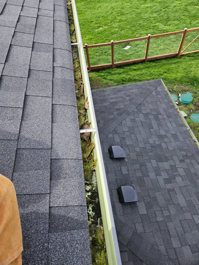 Gutter Cleaning Before