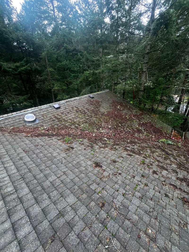 Roof cleaning, moss removal, Before and after