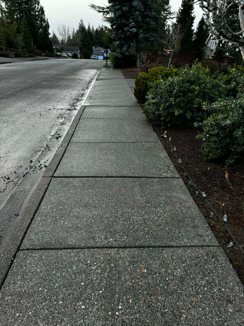 Pressure Washing Before and After
