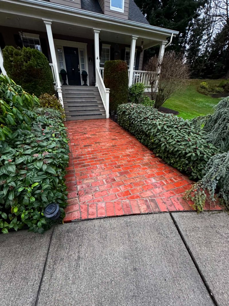 Pressure Washing Before and After
