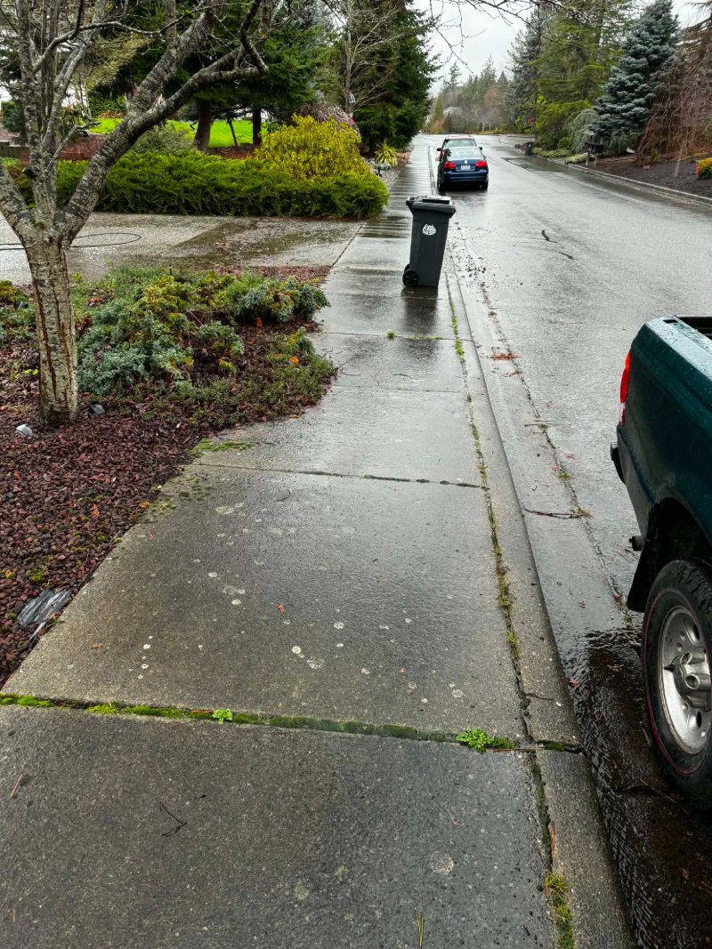 Pressure Washing Before and After