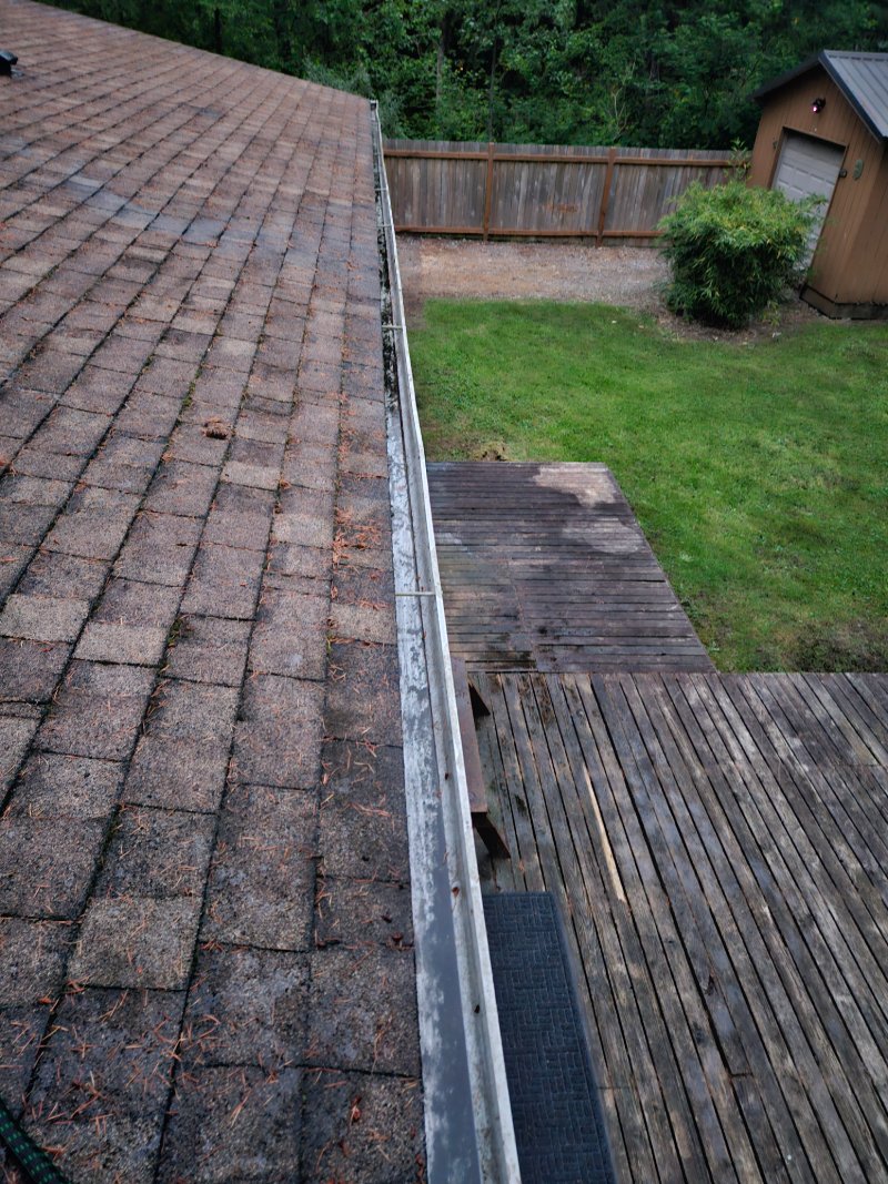 Gutter Cleaning