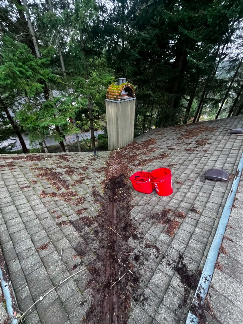 Roof cleaning, moss removal, Before and after