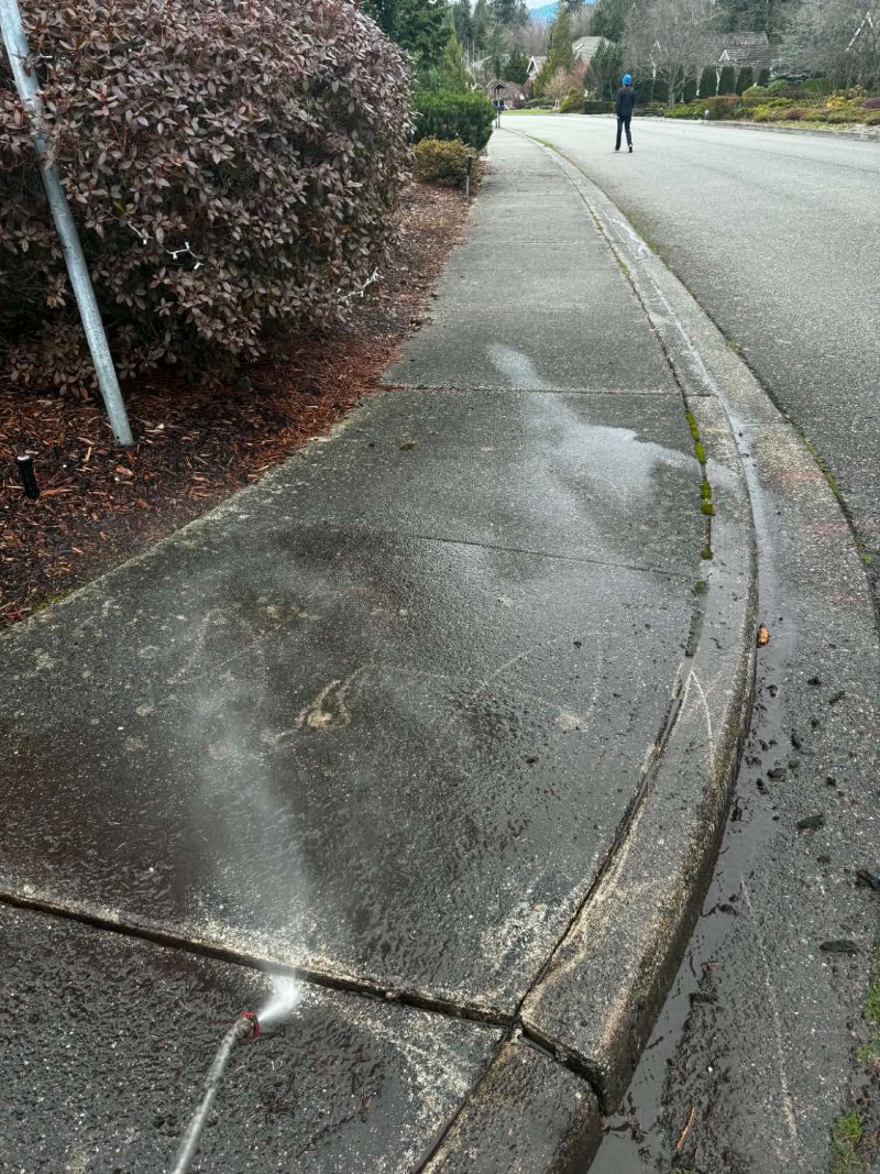Pressure Washing Before and After