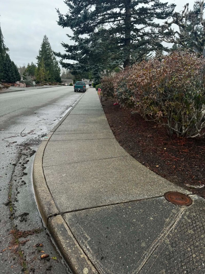 Pressure Washing Before and After