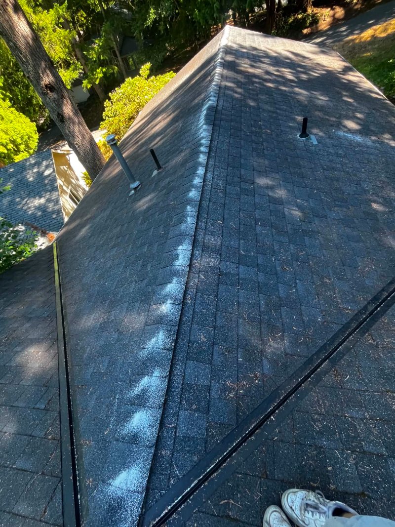 Roof cleaning, moss removal, Before and after