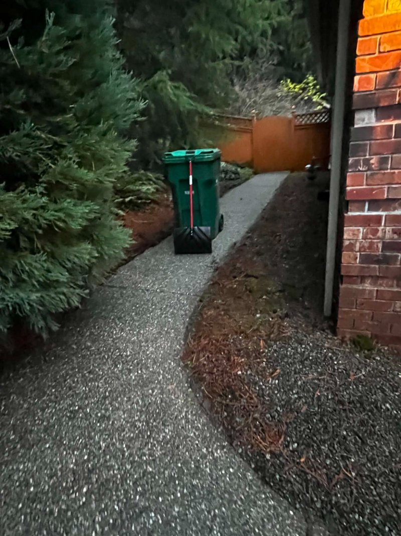 Pressure Washing Before and After